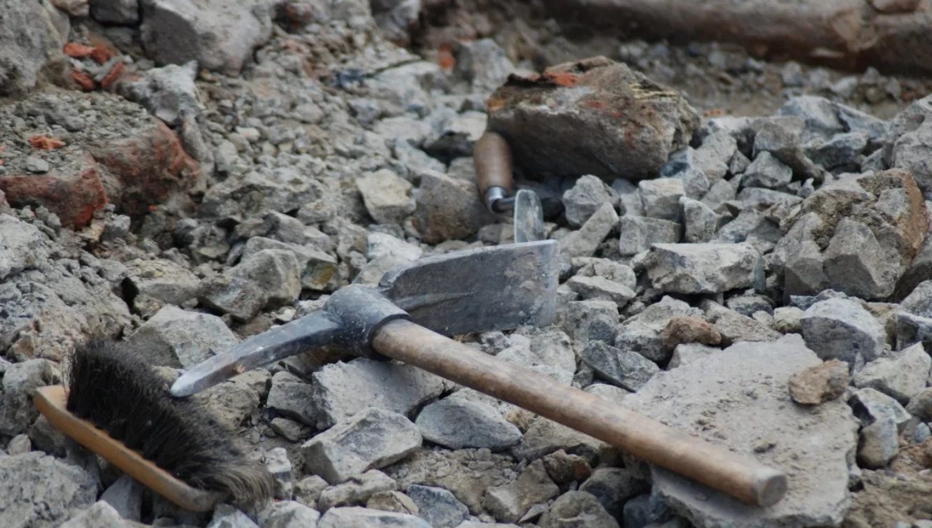 Учёные нашли крупнейшую кладку яиц мезозойских крокодилоформ в Бразилии